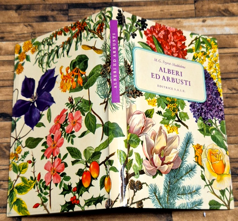 ALBERI ED ARBUSTI di MG Peyrot Maddalena 1965 Editrice SAIE … | Immagine Gallery 2
