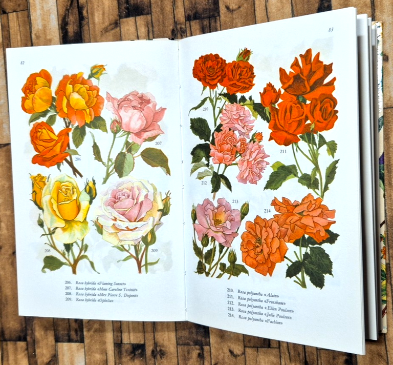 ALBERI ED ARBUSTI di MG Peyrot Maddalena 1965 Editrice SAIE … | Immagine Gallery 3