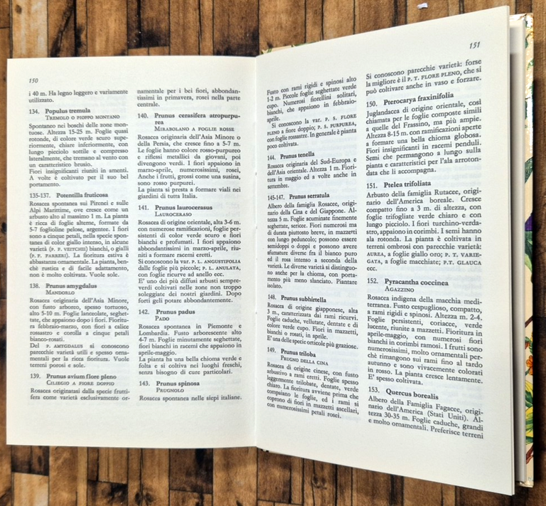 ALBERI ED ARBUSTI di MG Peyrot Maddalena 1965 Editrice SAIE … | Immagine Gallery 4