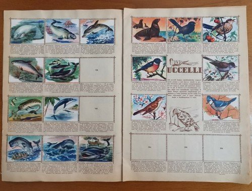 Album ANIMALI Nuova Raccolta Figurine 1954 Collezione Lampo con 396 …