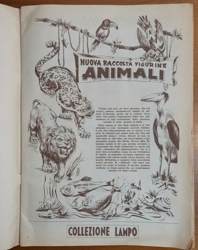 Album ANIMALI Nuova Raccolta Figurine 1954 Collezione Lampo con 396 …