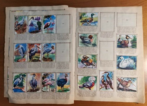 Album ANIMALI Nuova Raccolta Figurine 1954 Collezione Lampo con 396 …