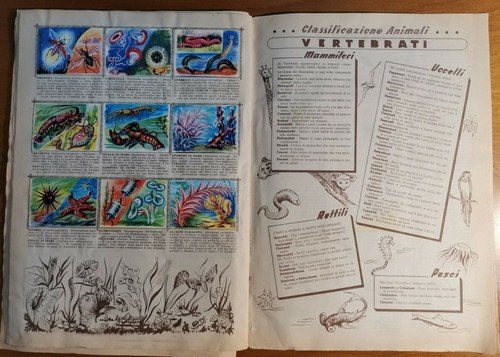 Album ANIMALI Nuova Raccolta Figurine 1954 Collezione Lampo con 396 …
