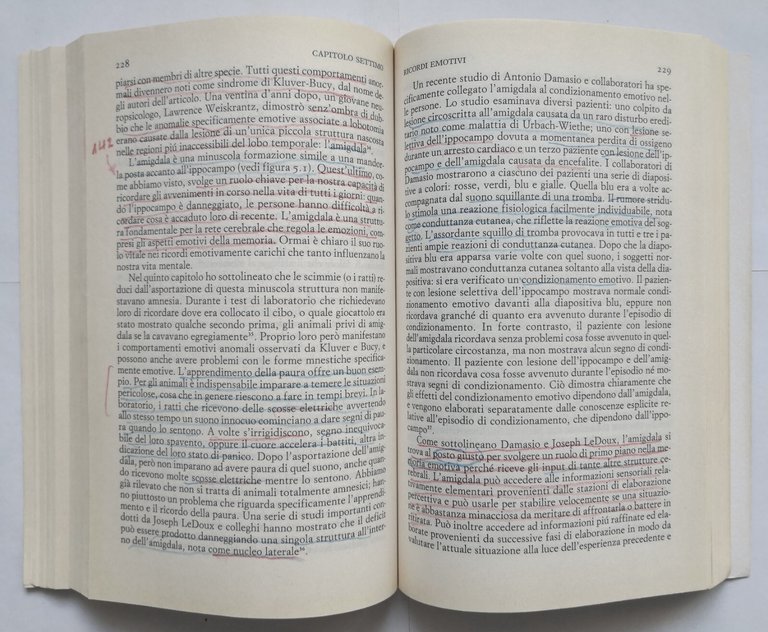 ALLA RICERCA DELLA MEMORIA di Daniel Schacter 2001 Einaudi Libro