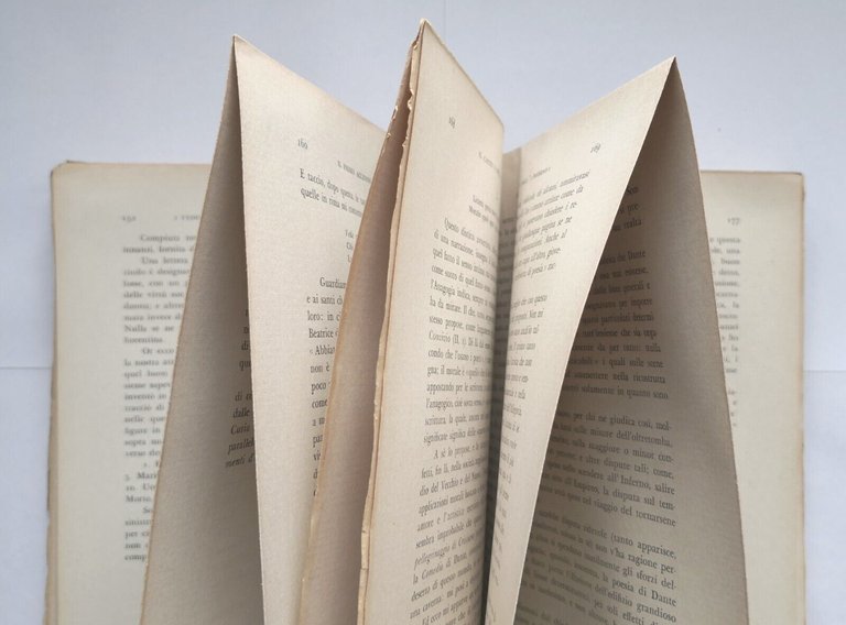 ALMAE LUCES MALAE CRUCES studi danteschi di Guido Mazzoni 1941 …