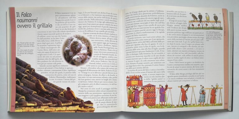 ALTA MURGIA NATURA STORIA IMMAGINI libro primo I 1997 Torre …