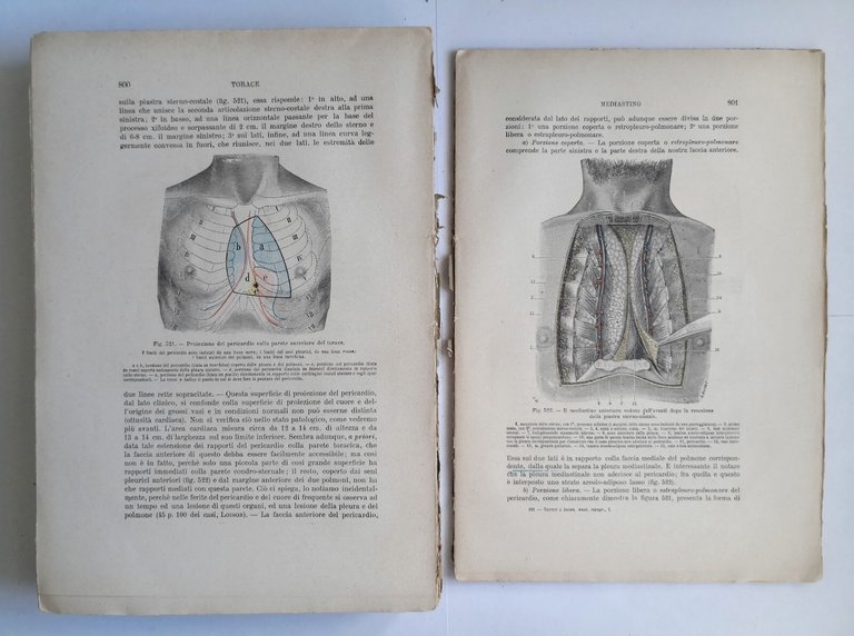 ANATOMIA TOPOGRAFICA di Testut e Jacob 2 volumi 1922 UTET …