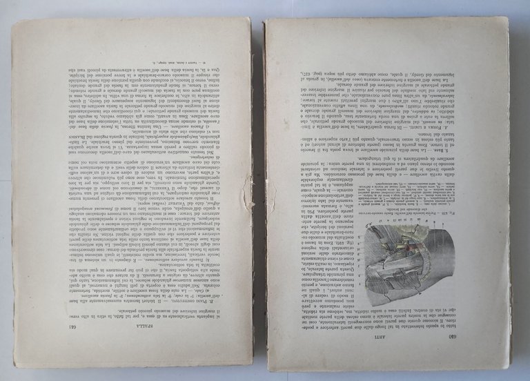 ANATOMIA TOPOGRAFICA di Testut e Jacob 2 volumi 1922 UTET …
