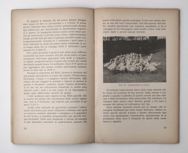 ANATRACOLTURA di Giuseppe Zanoni 1955 Edizioni Agricole libro manuale istruzione