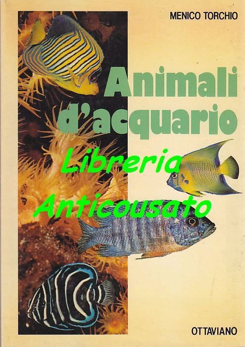 ANIMALI D'ACQUARIO di Menico Torchio - Ottaviano editore 1983 libro …