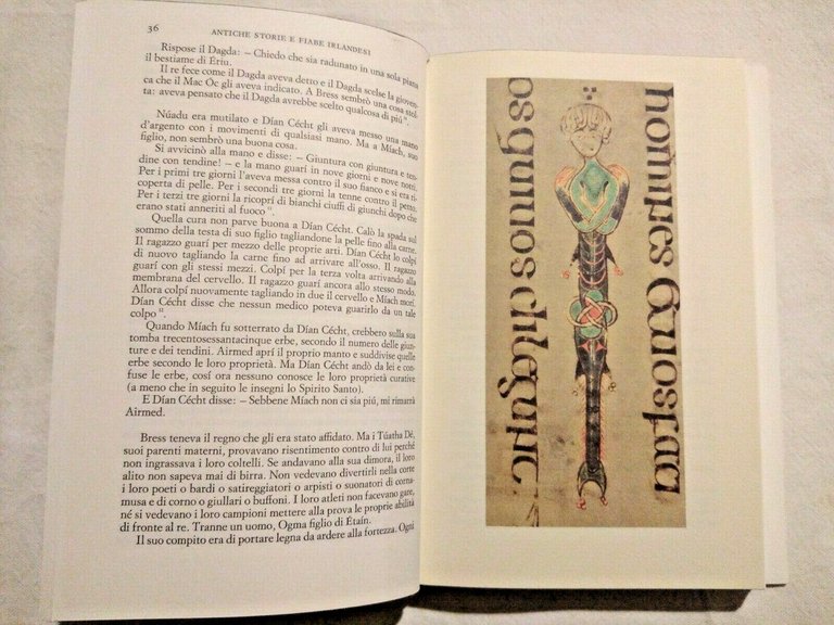 ANTICHE STORIE E FIABE IRLANDESI 1985 Einaudi i Millenni cofanetto …