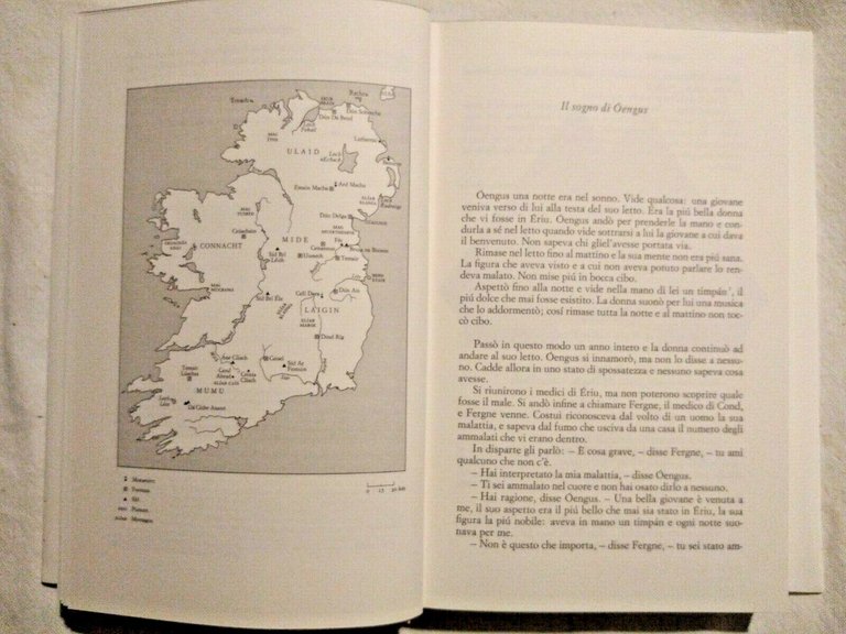 ANTICHE STORIE E FIABE IRLANDESI 1985 Einaudi i Millenni cofanetto …