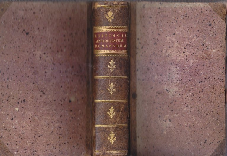 ANTIQUITATUM ROMANARUM Libri IV di Henrici Kippingii 1713 Libro Antico …