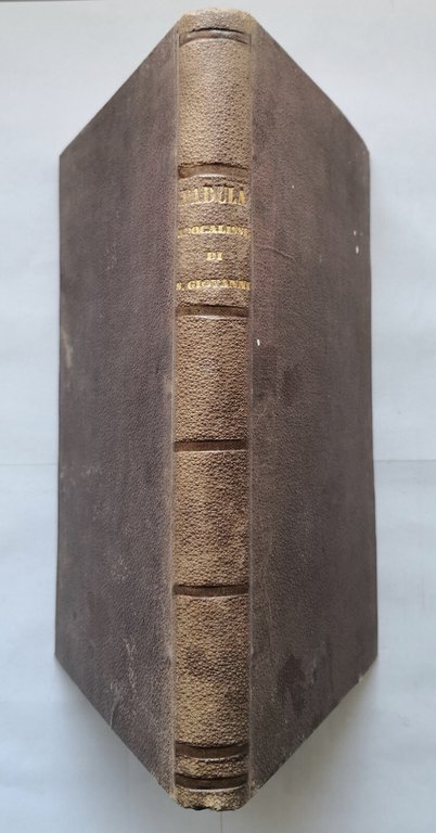 APOCALISSE DI SAN GIOVANNI APOSTOLO di Vincenzo Padula 1861 Libro …