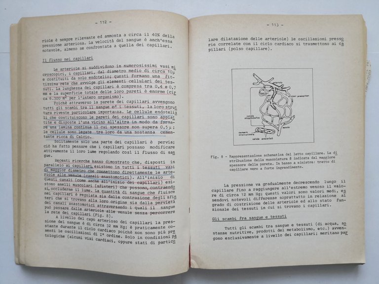 APPUNTI DALLE LEZIONI DI FISIOLOGIA Casella e Fornaroli volume I …