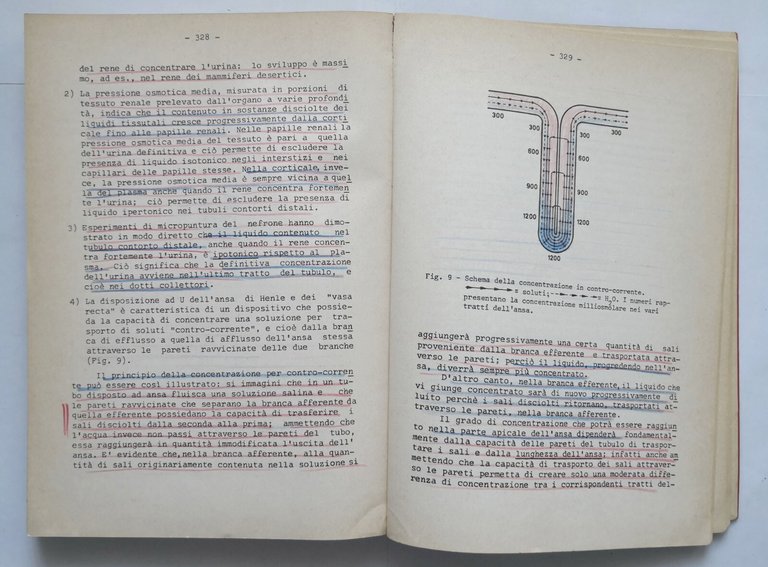 APPUNTI DALLE LEZIONI DI FISIOLOGIA Casella e Fornaroli volume I …