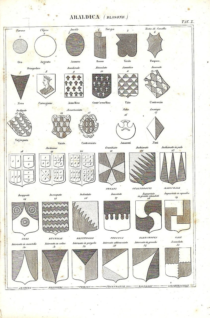 ARALDICA BLASONI STAMPA 1866 Tavola Antica Original Parma Clipeo Ancile …