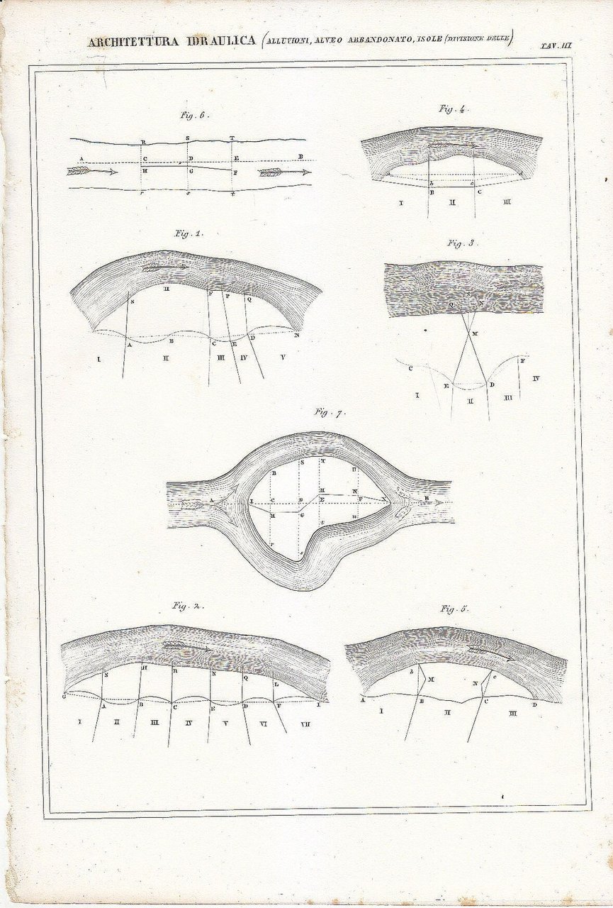ARCHITETTURA IDRAULICA ALLUVIONI ALVEO ISOLE INCISIONE STAMPA 1866 Tavola Antica