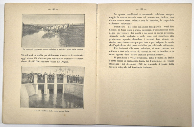 ARITMETICA E SCIENZE Volume V Libreria dello Stato Libro 1938 … | Immagine Gallery 3