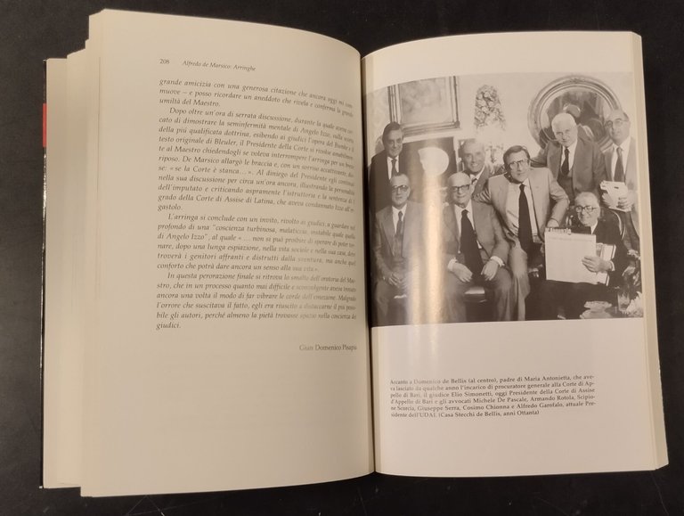 ARRINGHE di Alfredo De Marsico 1994 Schena Libro