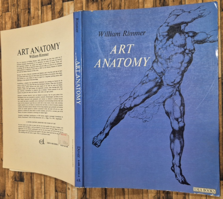 ART ANATOMY di William Rimmer 1962 Idea Books Libro disegno … | Immagine Gallery 2