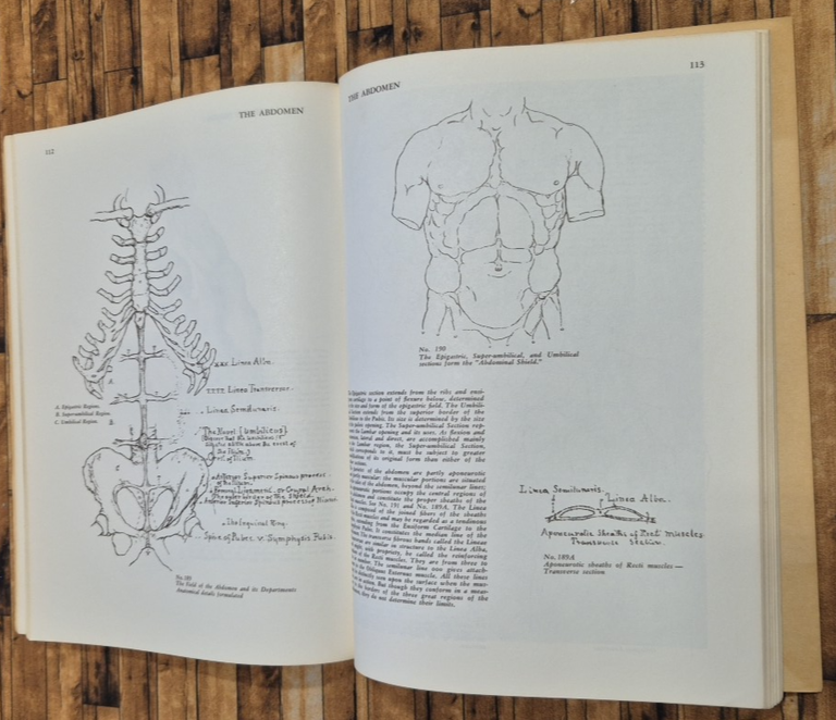 ART ANATOMY di William Rimmer 1962 Idea Books Libro disegno … | Immagine Gallery 3