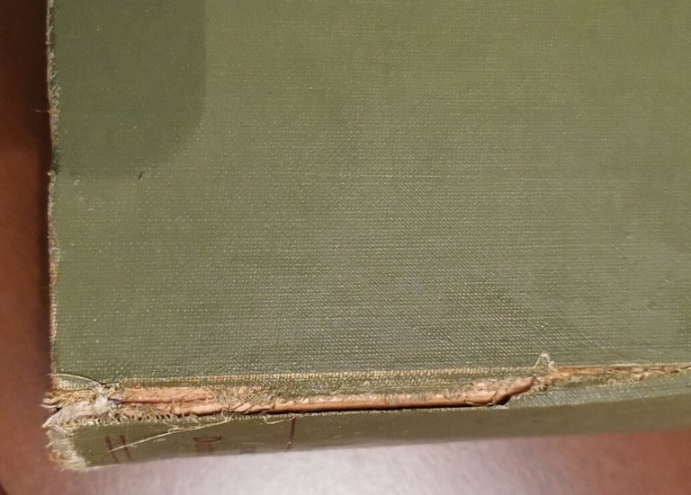 ASIA 2 volumi di De Gubernatis 1913? Vallardi Popoli del …