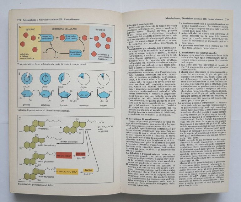 ATLANTE BIOLOGICO GARZANTI 1971 Aldo Garzanti Libro manuale