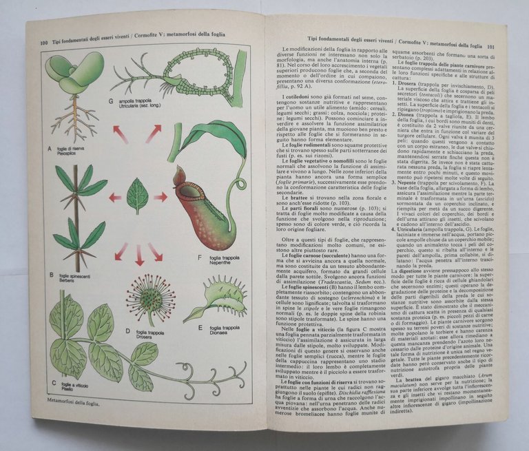 ATLANTE BIOLOGICO GARZANTI 1971 Aldo Garzanti Libro manuale