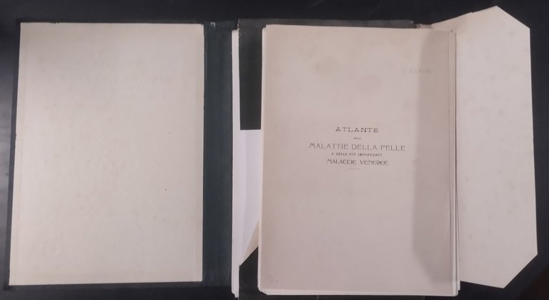 ATLANTE DELLE MALATTIE DELLA PELLE E MALATTIE VENEREE di Jacopini …