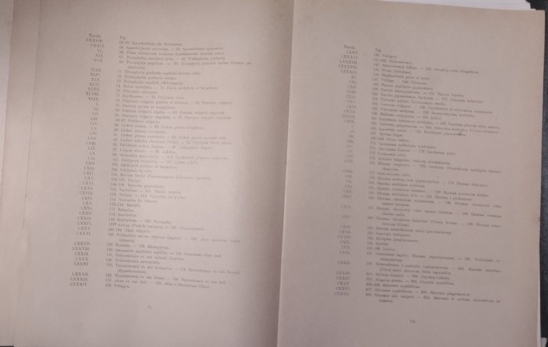 ATLANTE DELLE MALATTIE DELLA PELLE E MALATTIE VENEREE di Jacopini …