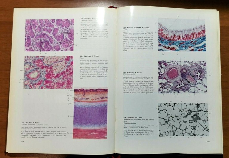 ATLANTE DI ISTOLOGIA NORMALE E ANATOMIA MICROSCOPICA DELL'UOMO Ernst von …