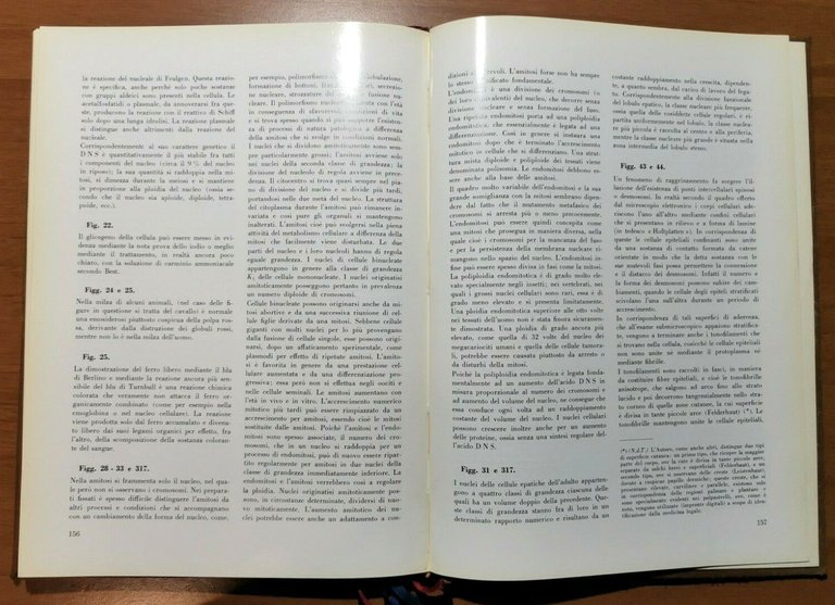 ATLANTE DI ISTOLOGIA NORMALE E ANATOMIA MICROSCOPICA DELL'UOMO Ernst von …