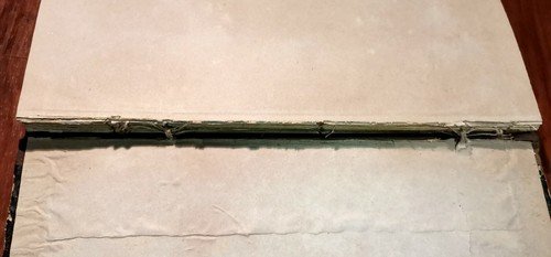 ATLANTE DI MICROSCOPIA CLINICA Gaetano Primavera 1886 Petruzzelli 68 litografie