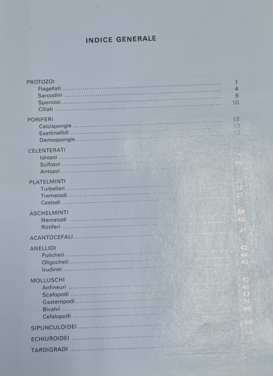 ATLANTE DI MORFOLOGIA DEGLI INVERTEBRATI di Zaffagnini Sabelli 1977 Piccin … | Immagine Gallery 5