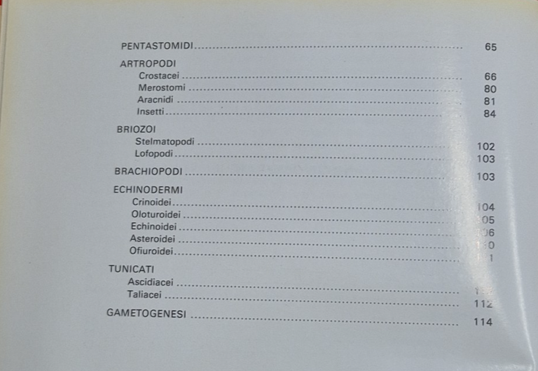 ATLANTE DI MORFOLOGIA DEGLI INVERTEBRATI di Zaffagnini Sabelli 1977 Piccin … | Immagine Gallery 6