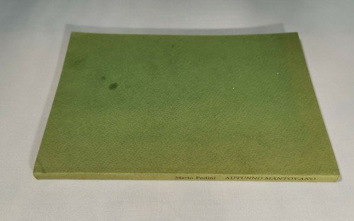AUTUNNO MANTOVANO di Mario Pedini 1984 dedica autografa libro romanzo …