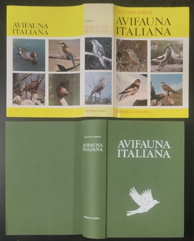 AVIFAUNA ITALIANA di Augusto Toschi 1969 editoriale Olimpia Libro caccia …