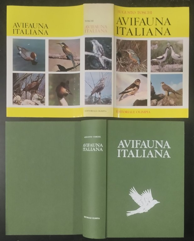 AVIFAUNA ITALIANA di Augusto Toschi 1969 editoriale Olimpia Libro caccia … | Immagine Gallery 8