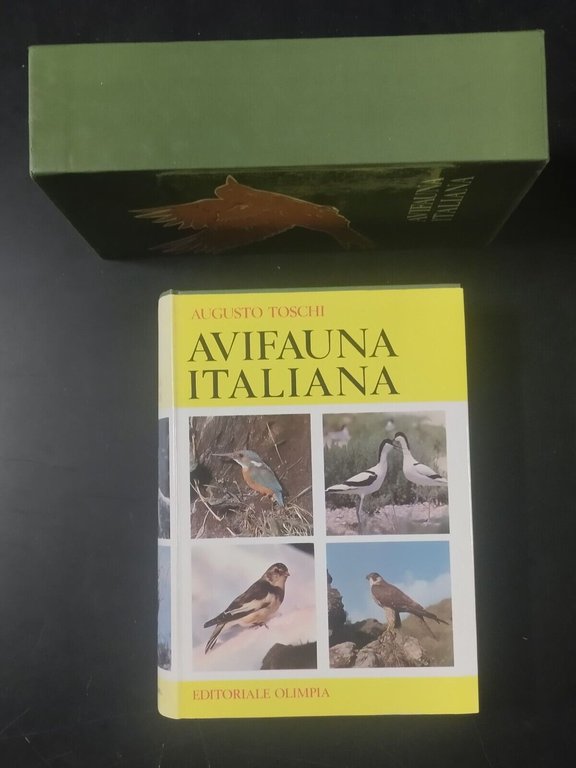 AVIFAUNA ITALIANA di Augusto Toschi 1969 editoriale Olimpia Libro caccia …