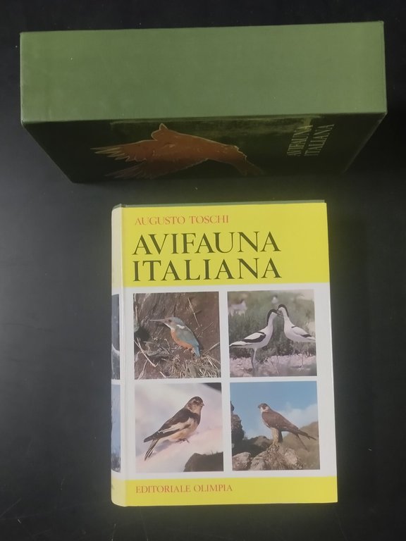 AVIFAUNA ITALIANA di Augusto Toschi 1969 editoriale Olimpia Libro caccia … | Immagine Gallery 10