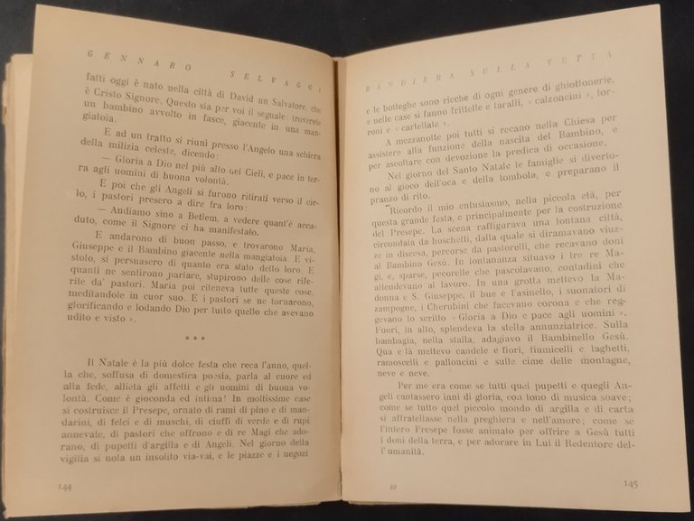 BANDIERA SULLA VETTA di Gennaro Selvaggi 1938 La Prora Libro …