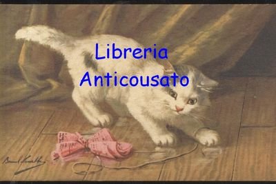 bella Cartolina GATTO a colori anni '30 - gattino che …