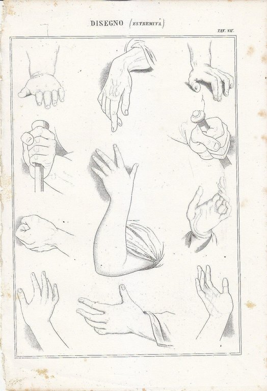 Belle Arti Disegno estremità mani braccia INCISIONE STAMPA 1866 antica … | Immagine Gallery 1