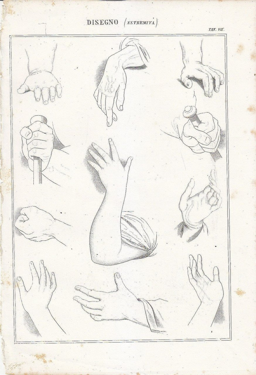 Belle Arti Disegno estremità mani braccia INCISIONE STAMPA 1866 da …