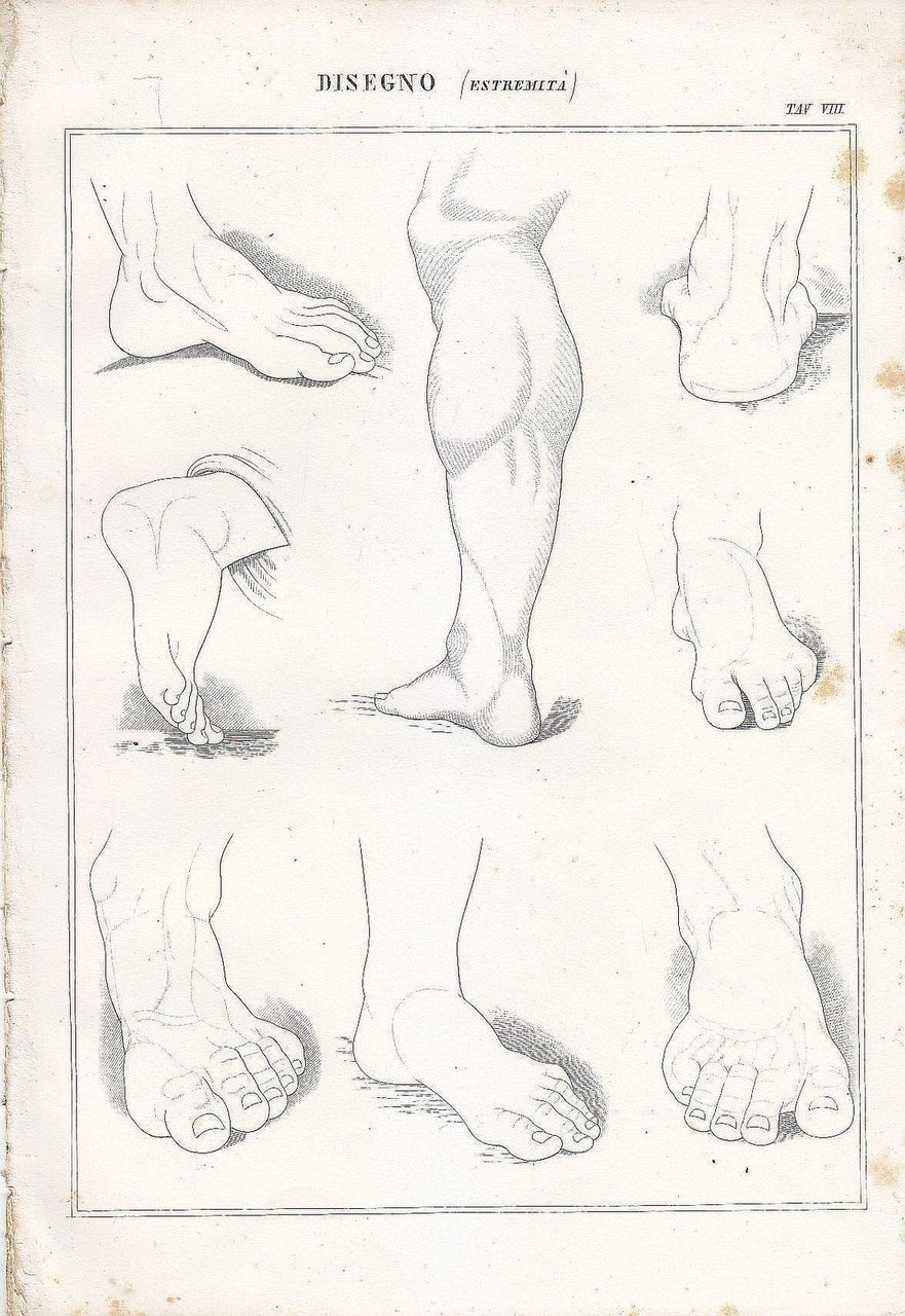 BELLE ARTI Disegno estremità piedi polpacci INCISIONE STAMPA 1866 senza …