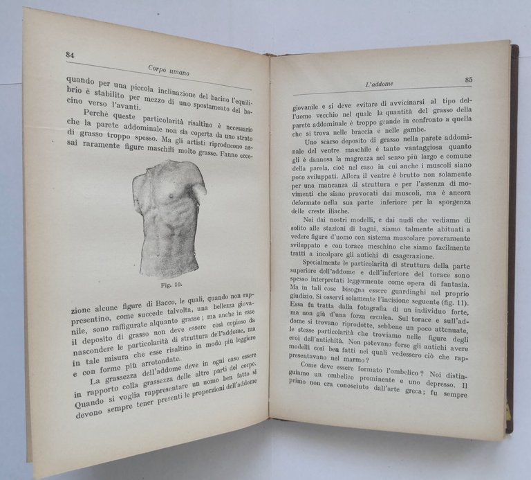 BELLEZZA E DIFETTI DEL CORPO UMANO di Brucke Libro Editori …