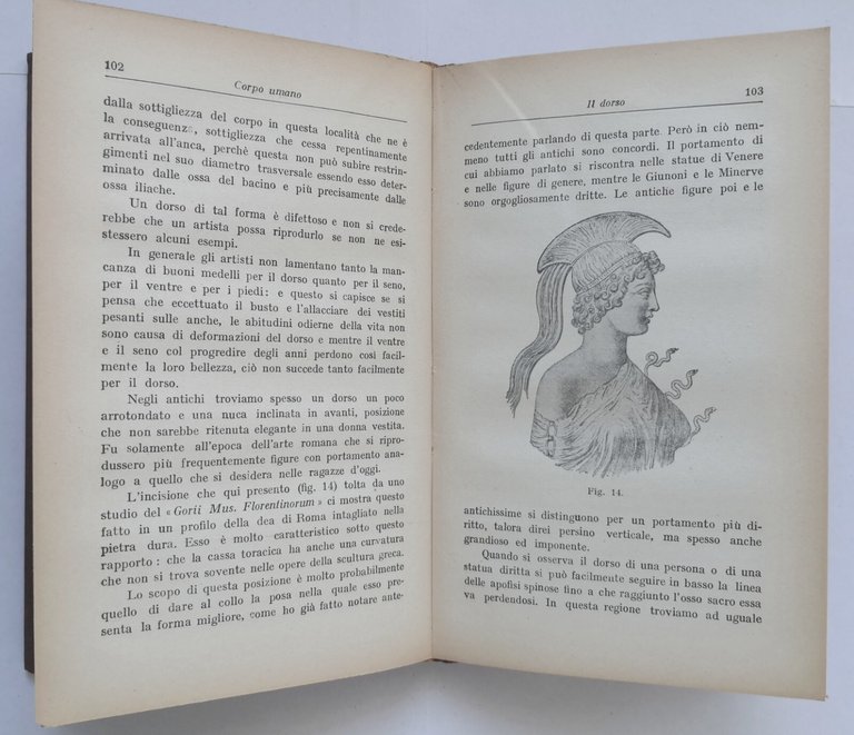 BELLEZZA E DIFETTI DEL CORPO UMANO di Brucke Libro Editori …