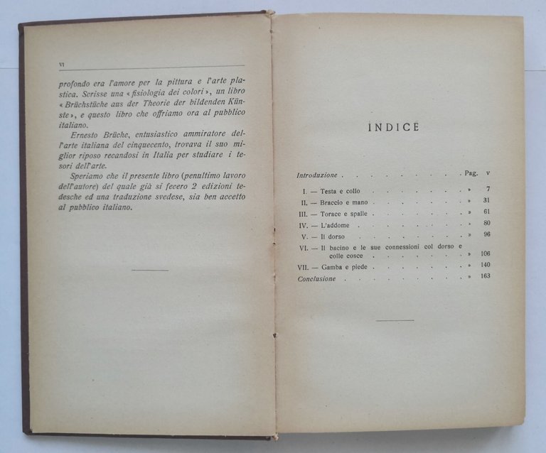 BELLEZZA E DIFETTI DEL CORPO UMANO di Brucke Libro Editori …