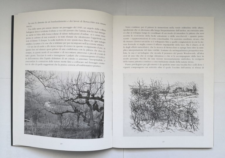 BERTACCHINI di Franco Basile 1994 Galleria Marescalchi libro catalogo opere